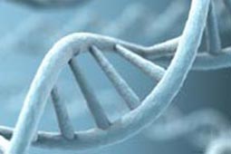 云呼网页版免费试用